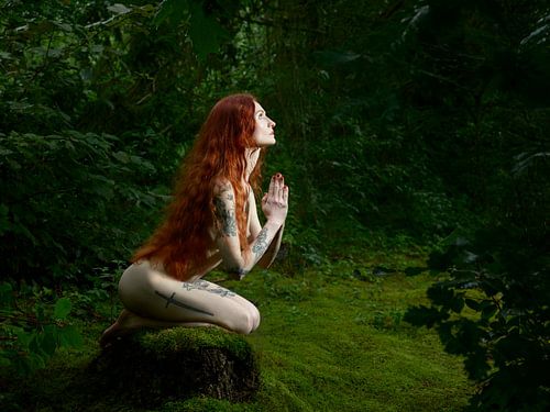 pétition pour la forêt