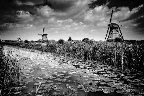 Molens in Kinderdijk