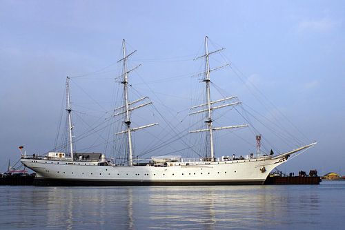 Gorille d'écorce Fock