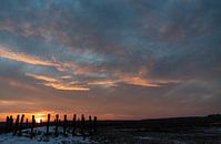 Grafheuvels op de Regte Heide in Goirle bij zonsopkomst. von Miranda Rijnen Fotografie Miniaturansicht