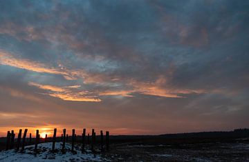 Grafheuvels op de Regte Heide in Goirle bij zonsopkomst. van Miranda Rijnen Fotografie