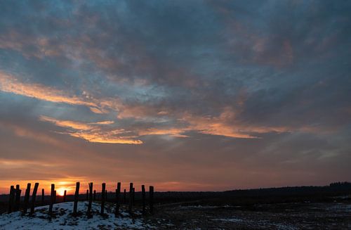 Grafheuvels op de Regte Heide in Goirle bij zonsopkomst.