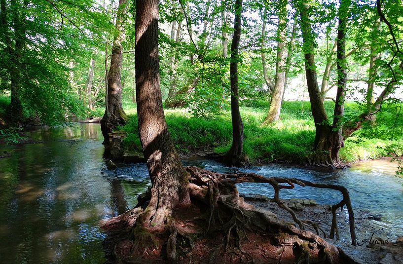 An der Düssel par Iwona Sdunek alias ANOWI