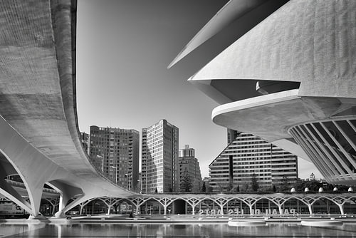 Detail of the Palau de les Arts Reina Sofia - Valencia