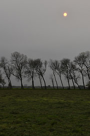 Zie de maan van Erik Buitenhuis