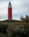 Eierland-Leuchtturm in Texel von OCEANVOLTA Miniaturansicht