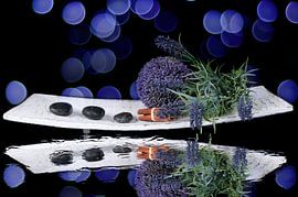 Purple bokeh spa von Patricia Verbruggen