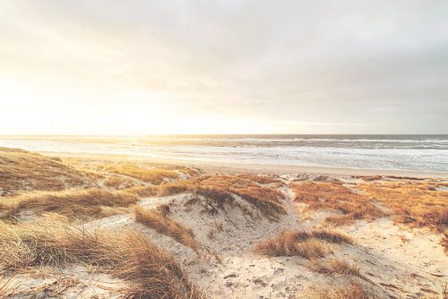 Denmark's golden North Sea coast