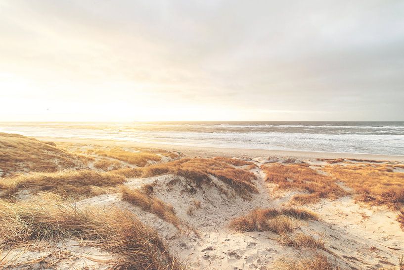 La côte dorée de la mer du Nord au Danemark par Florian Kunde