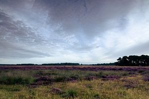 Strabrechtse Heide 120 van Deshamer