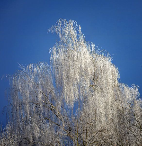 Briken covered in hoarfrost by ManfredFotos