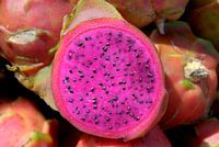Fruits