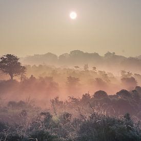 zonsopkomst over een landschap met mist van Angelique Rademakers