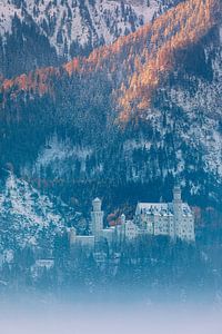 Château de Neuschwanstein, Allgäu, Bavière, Allemagne sur Henk Meijer Photography