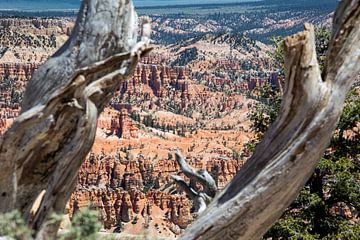 De wondere wereld van Bryce Canyon van De wereld door de ogen van Hictures