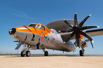 E-2 Hawkeye with tiger colours by HB Photography