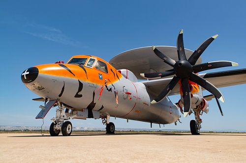 E-2 Hawkeye met tijgerkleuren