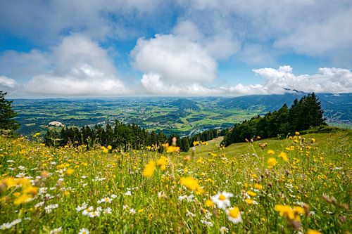 Bloemrijk uitzicht op de Oberallgäu en de laaghangende bewolking