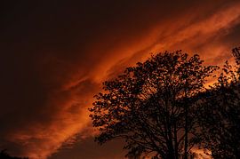 evening photo of the sky by Armin Wolf