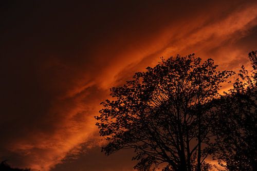 evening photo of the sky