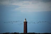 Vuurtoren van Albert van der Spaan thumbnail