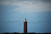 Vuurtoren