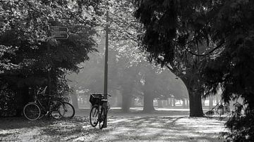 Fietsen in het Park van Daan Pleijsier