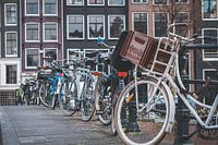 Cyclisme à Amsterdam