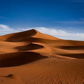 Kronkelend duinlandschap in de woestijn bij Merzouga