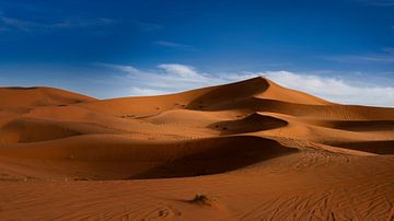 Winding dune landscape in the desert near Merzouga