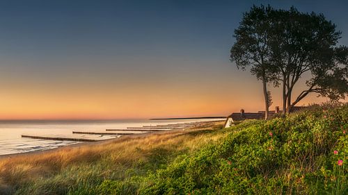 Baltic Sea beach at the Darß near Ahrenshoop in Mecklenburg Vorpommern by Voss photography