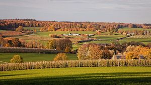 Herbst im Wolfhaag / Raren