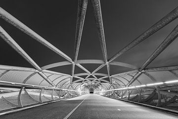 De Netkousbrug, De Groene verbinding te Rotterdam van Original Mostert Photography