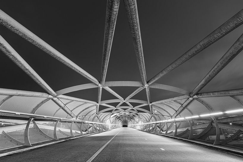 Le Netkousbrug, la connexion verte à Rotterdam par Original Mostert Photography