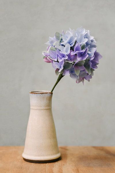 Vaas met blauw paarse Hortensia | Bloem van papier | Stilleven | Fotografie van Mirjam Broekhof