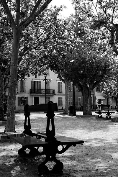 The famous Place des Lices by Tom Vandenhende