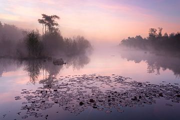 Morning atmosphere Haaksbergerveen by Ronald Kamphuis