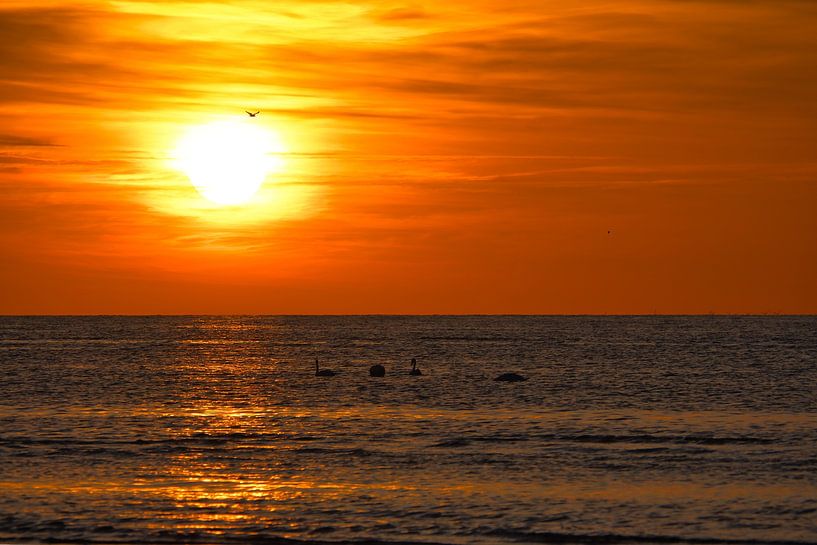 Zonsondergang op het strand van Poel met zwanen van Martin Köbsch