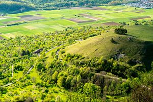 Paysage verdoyant autour du château de Teck
