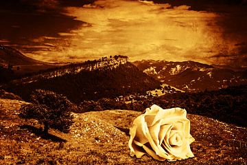 De roos tussen de bergen van Helga Blanke