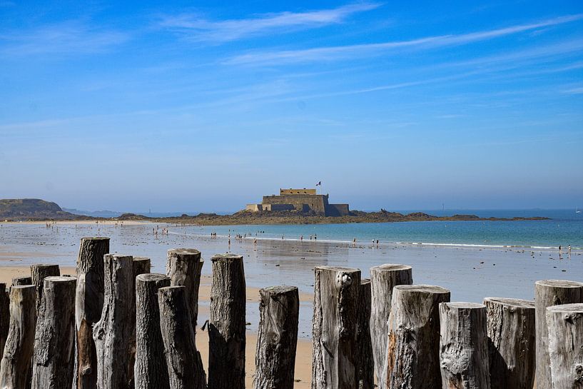 Tussen Fort en Zee: Saint-Malo's Prachtige Kustlijn van Ingrid de Vos - Boom