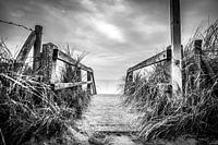 The way to the beach