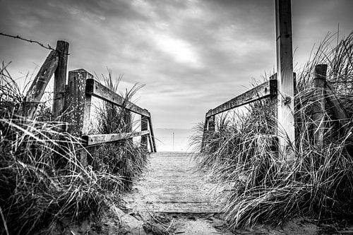 The way to the beach