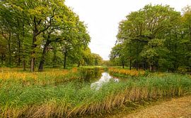 Neu Löwehorst Noordwijk von Dirk van Egmond