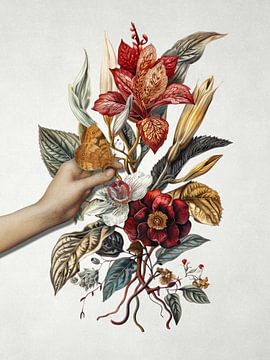 Respecting Nature van Marja van den Hurk