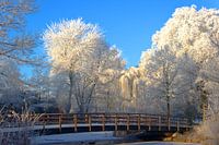 Winter tafereel