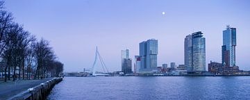 Skyline Rotterdam van Roel Dijkstra
