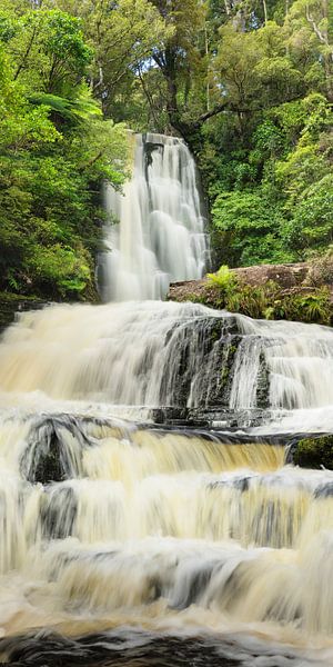 McLean Falls Wasserfall, The Catlins, Neuseeland von Markus Lange
