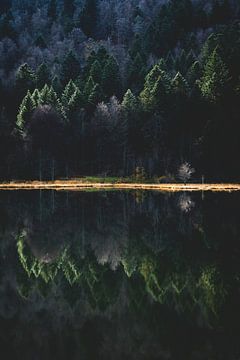 Réflexion dans un lac de montagne