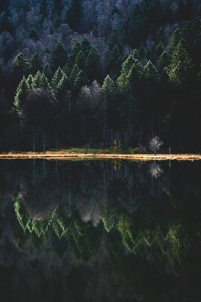 Spiegelung im Bergsee von Sam Mannaerts